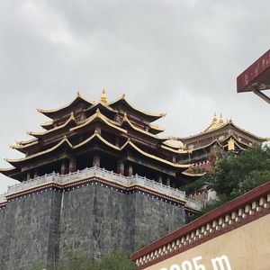 Meet your Posher, Sophia